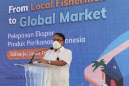 Kemendag ungkap distributor tak resmi  terlibat ekspor Indomie salurkan mi instan ke Taiwan