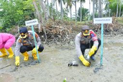 Polres Aceh Timur tanam mangrove di sepanjang pesisir pantai