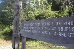 Provinsi Kaltim miliki 14 potensi Kawasan Ekosistem Esensial