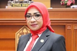 Anggota Komisi IV ingatkan pengawasan UMK ke Perusahaan