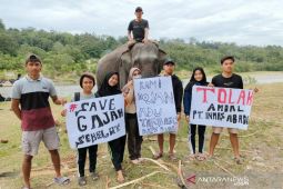 Komunitas Bengkulu aksi digital tolak tambang di Seblat
