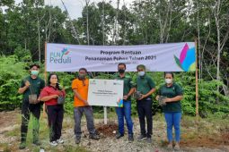 PLN Bali Selatan tanam 6.900 bibit pohon dukung RTH