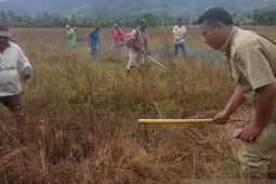 Jelang musim tanam padi, petani Muaratais Tapsel lakukan perburuan tikus