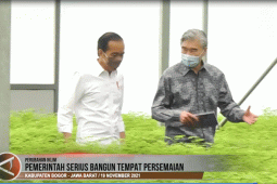 Pemerintah serius bangun tempat persemaian