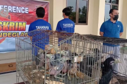 Polisi tangkap dua penjual satwa dilindungi via media sosial