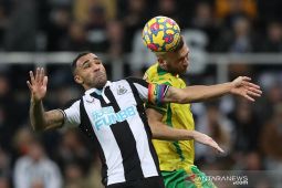Liga Inggris - Laga dua tim papan bawah Newcastle kontra Norwich berakhir seri