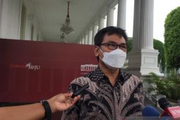 Johan Budi temui Jokowi di Istana Merdeka