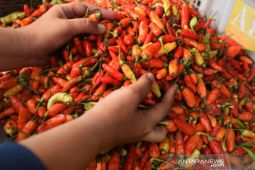 Makanan dan tembakau picu inflasi Pangkalpinang sebesar 0,77 persen