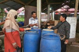 Petani Pasaman dilatih pembuatan kompos jerami