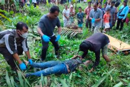 Novman Zendrato pekerja kebun sawit di Tapeng tewas tersengat listrik