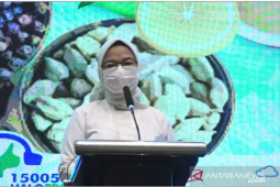 Optimize development of Indonesian natural ingredient medicine: BPOM