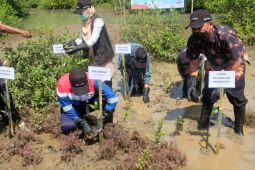 Pertamina Integrated Terminal Balongan budidayakan maggot atasi sampah organik