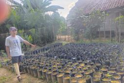 Menatap masa depan tanpa putus asa