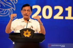 Luhut: Festival Diskon Nasional dapat jadi model kampanye Gernas BBI