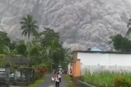 30.523 pelanggan PLN Lumajang terdampak letusan Semeru