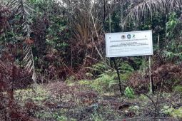 Pokdarwis Bajaka apresiasi pengetatan pengawasan hutan