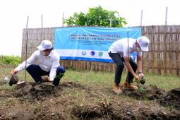 KKP dan Pelindo percepat rehabilitasi kawasan mangrove di Indramayu