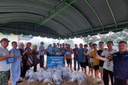 NNB Sayurmatinggi tabur ikan ke irigasi lubuk larangan sepanjang 500 meter
