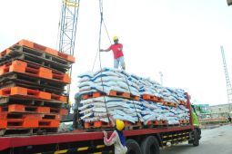 Alokasi pupuk subsidi di Mojokerto terserap 100 persen