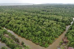 Pemkab Berau apresiasi pembangunan hijau tambak udang masyarakat