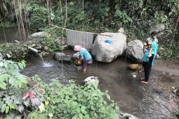 Warga terdampak bencana Semeru nikmati sisa panen