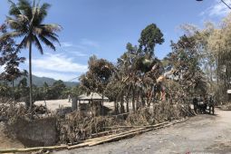Lokasi Kampung Renteng Lumajang disterilisasi jelang kedatangan Jokowi