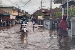 Banjir rob rendam rumah warga di pesisir Sungai Kapuas