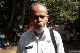 Populasi sapi Bangka Tengah capai 5.800 ekor
