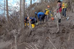 SAR sisir empat lokasi cari korban bencana Semeru