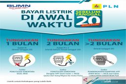 PLN imbau warga tingkatkan kepedulian pada kondisi  kelistrikan