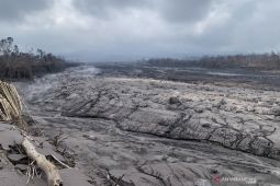 Lahan pertanian 20 hektare di Desa Supiturang rusak akibat abu Gunung Semeru
