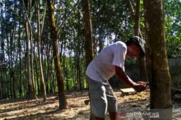 Pemkab Tabalong gandeng Bank Mandiri untuk penguatan modal UPPB