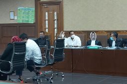 Saksi sebut ketergantungan Nia-Ardi konsumsi narkoba sabu sedang menuju ringan