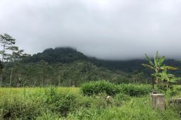 Puncak Semeru tertutup mendung pekat, bau belerang menyengat