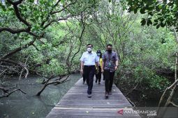 Luhut ajak dunia kerja sama lawan dampak perubahan iklim