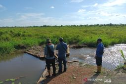 BRGM tingkatkan ekonomi masyarakat di sekitar lahan gambut