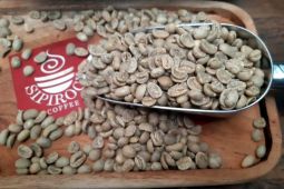 'Go global', mitra binaan kopi Sipirok Pertamina tembus pasar AS