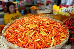 Harga cabai rawit di Gorontalo naik signifikan dalam satu pekan