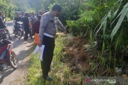 Minibus terjun ke jurang, semua penumpang dilaporkan hilang