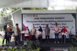 Hari Disabilitas Nasional