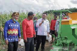 Legislator : jagung "Sakti 69" mampu bersaing