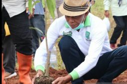 Pemkab Subang tanam ratusan bibit pohon buah di jalan Cipendeuy-Serangpanjang