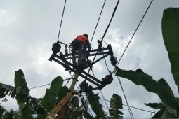 PLN pulihkan sistem kelistrikan pascagempa tektonik