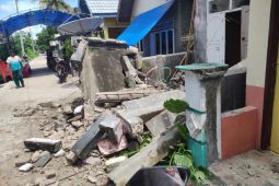 BMKG: telah terjadi 75 kali gempa susulan di Laut Flores