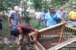 Anjing petani di Palas dimangsa harimau, BBKSDA Sumut kembali pasang kandang jebakan