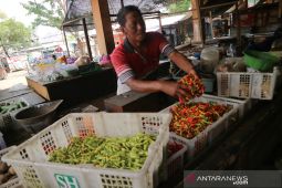 Harga Cabai Rawit Naik