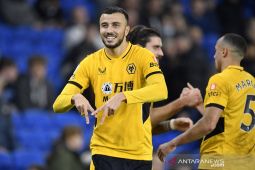Liga Inggris - Wolverhampton kantungi tiga poin sambil perburuk tren negatif Brighton