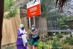 Pertamina EP berdayakan lansia di Tuban melalui program pengembangan "Tosga"