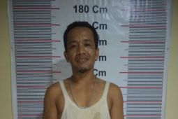 Polsek Secanggang tangkap diduga pembakar bengkel warga