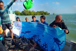 Penanaman kembali Mangrove di Bangkalan menuai hasil